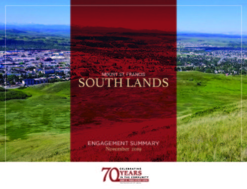 MSF South Lands November 2019 Engagement Summary